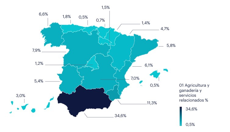 Mapa de España con los ocupados en Agricultura y ganadería (CNAE 01), donde se muestra que el empleo en el sector de Agricultura y ganadería está altamente concentrado geográficamente, destacando Andalucía, con el 34,6% de la actividad del sector, seguida por Murcia con el 11,4%, Castilla y León con el 7,9% y Castilla-La Mancha con el 6,9%.